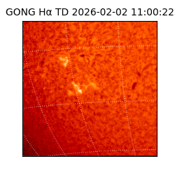 gong - 2026-02-02T11:00:22