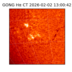 gong - 2026-02-02T13:00:42