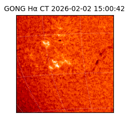 gong - 2026-02-02T15:00:42