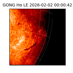 gong - 2026-02-02T00:00:42