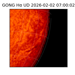gong - 2026-02-02T07:00:02