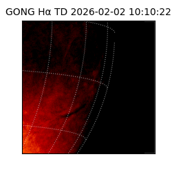 gong - 2026-02-02T10:10:22