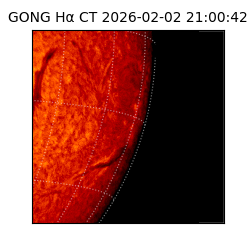 gong - 2026-02-02T21:00:42