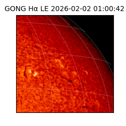 gong - 2026-02-02T01:00:42