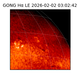 gong - 2026-02-02T03:02:42