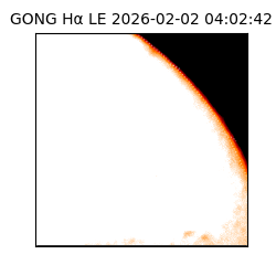 gong - 2026-02-02T04:02:42