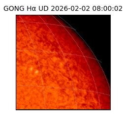 gong - 2026-02-02T08:00:02