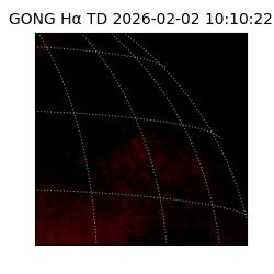 gong - 2026-02-02T10:10:22