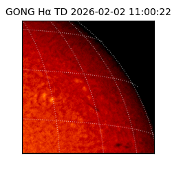 gong - 2026-02-02T11:00:22