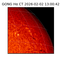 gong - 2026-02-02T13:00:42
