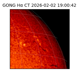 gong - 2026-02-02T19:00:42