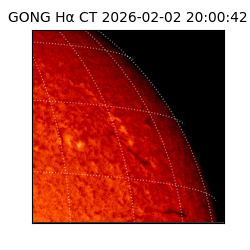 gong - 2026-02-02T20:00:42