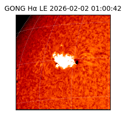 gong - 2026-02-02T01:00:42