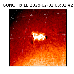 gong - 2026-02-02T03:02:42