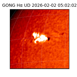 gong - 2026-02-02T05:02:02