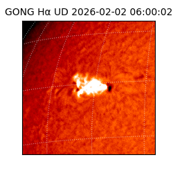 gong - 2026-02-02T06:00:02