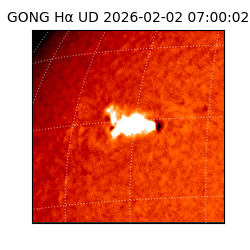 gong - 2026-02-02T07:00:02