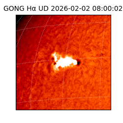 gong - 2026-02-02T08:00:02