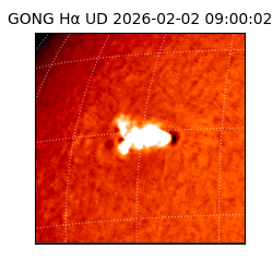 gong - 2026-02-02T09:00:02