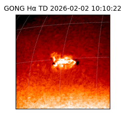 gong - 2026-02-02T10:10:22