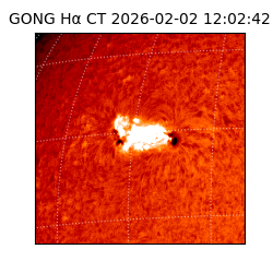 gong - 2026-02-02T12:02:42