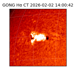 gong - 2026-02-02T14:00:42