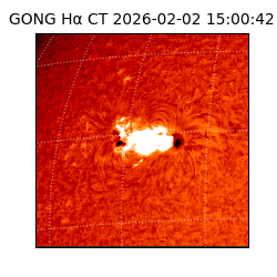 gong - 2026-02-02T15:00:42