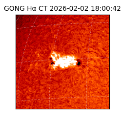 gong - 2026-02-02T18:00:42