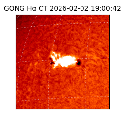 gong - 2026-02-02T19:00:42