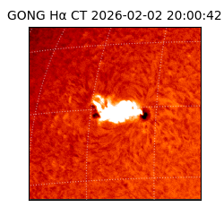gong - 2026-02-02T20:00:42
