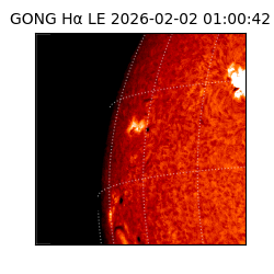 gong - 2026-02-02T01:00:42