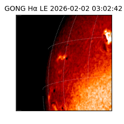 gong - 2026-02-02T03:02:42