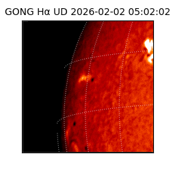 gong - 2026-02-02T05:02:02