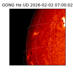 gong - 2026-02-02T07:00:02