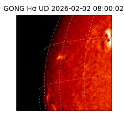 gong - 2026-02-02T08:00:02