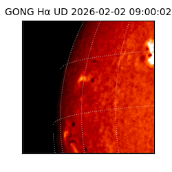 gong - 2026-02-02T09:00:02