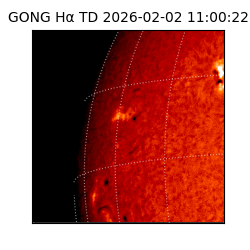 gong - 2026-02-02T11:00:22