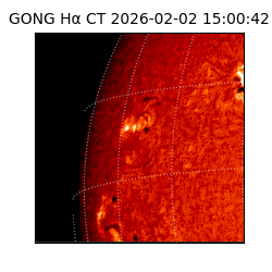 gong - 2026-02-02T15:00:42