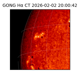 gong - 2026-02-02T20:00:42