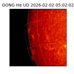 gong - 2026-02-02T05:02:02
