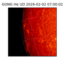 gong - 2026-02-02T07:00:02