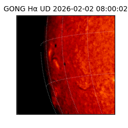 gong - 2026-02-02T08:00:02