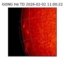 gong - 2026-02-02T11:00:22