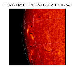 gong - 2026-02-02T12:02:42