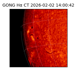 gong - 2026-02-02T14:00:42