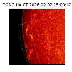 gong - 2026-02-02T15:00:42
