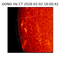 gong - 2026-02-02T16:00:42