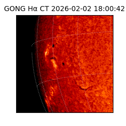 gong - 2026-02-02T18:00:42