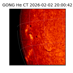 gong - 2026-02-02T20:00:42