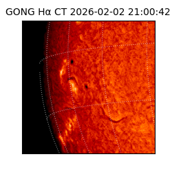 gong - 2026-02-02T21:00:42